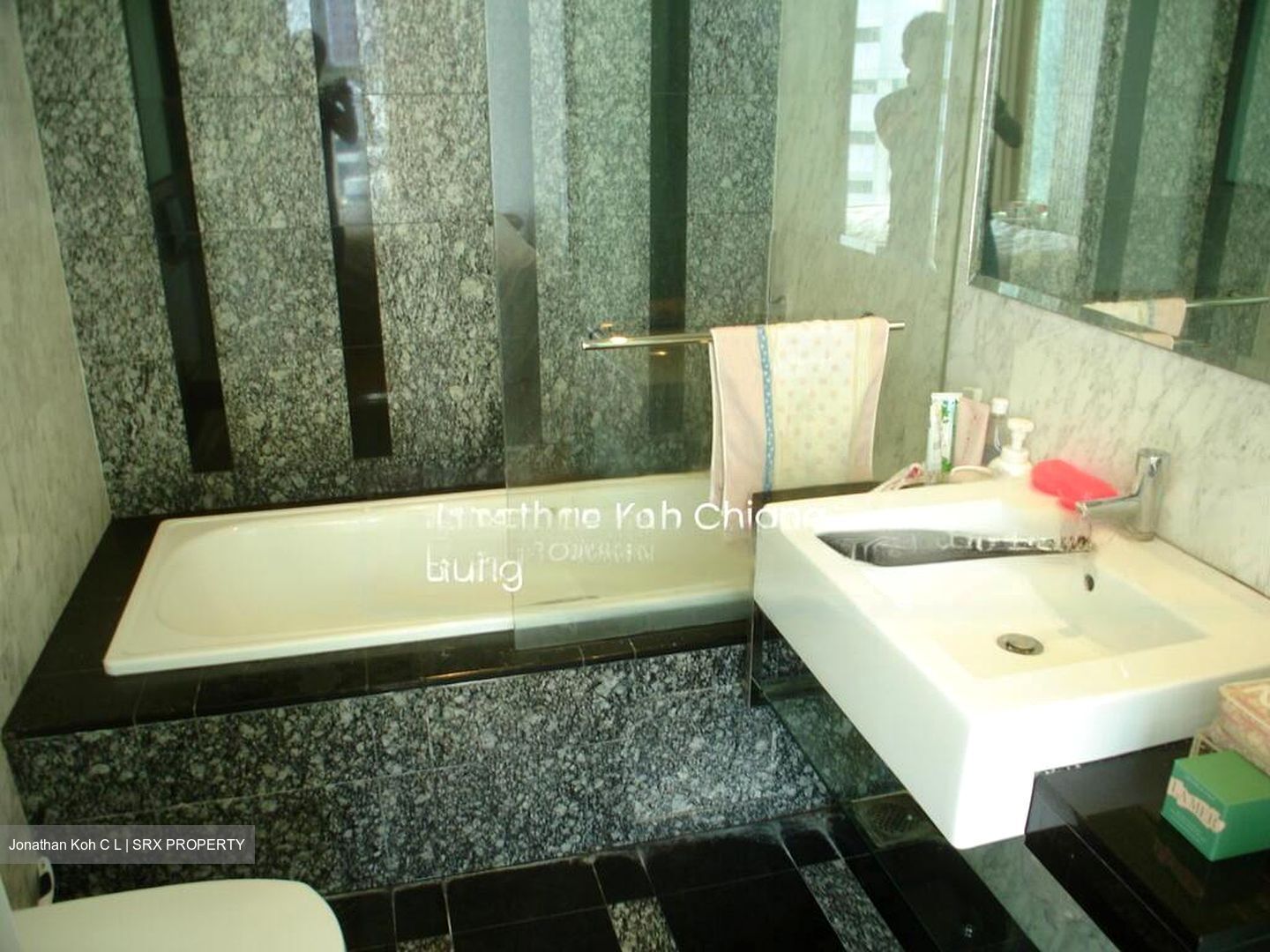 The Metz (D9), Condominium #484941571